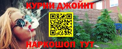 сатива Будённовск