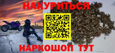 сатива Будённовск