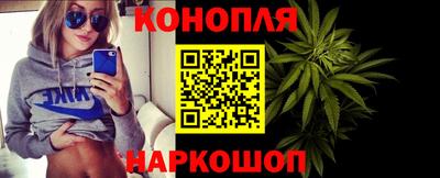 сатива Будённовск