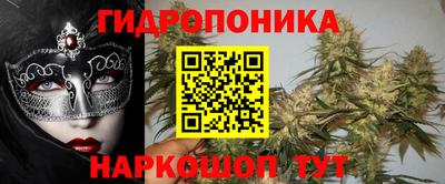 сатива Будённовск