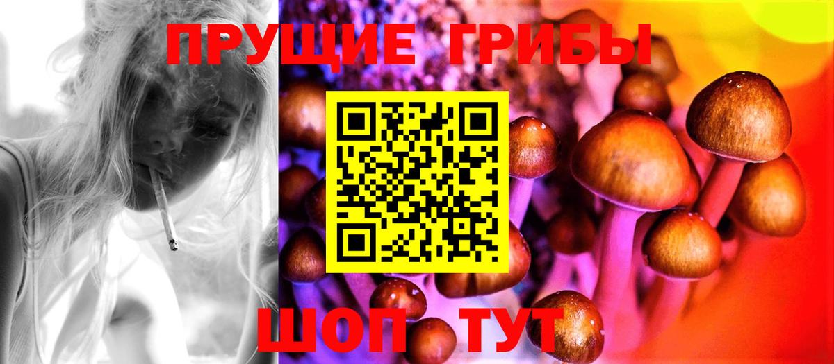 Галлюциногенные грибы MAGIC MUSHROOMS Тельмана